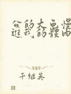 公的大龟慢慢挺进我的体内