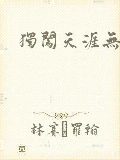 独闯天涯无弹窗