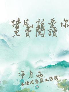借风说爱你小说免费阅读