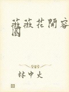 薇薇花开容颜倾国