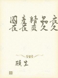 国产精品夜夜春夜夜爽久久小说