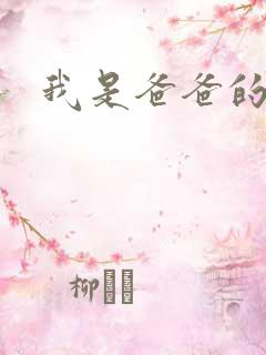 我是爸爸的玩具