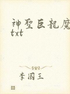 神圣巨龙魔法师txt