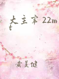 大主宰 22mt