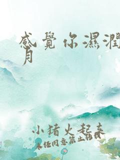 感觉你湿润我四月