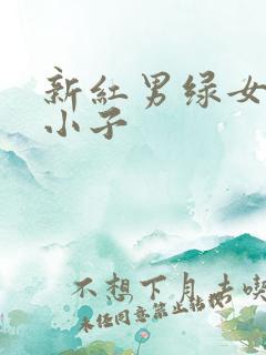 新红男绿女之坏小子