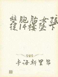 双胞胎女孩双双从14楼坠下