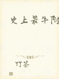 史上最牛附马爷