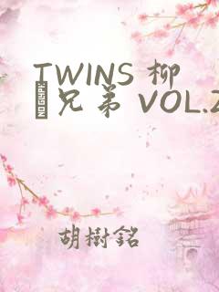 TWINS 柳澤兄弟 VOL.2