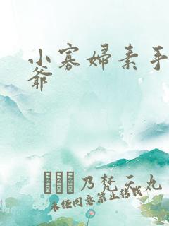 小寡妇素手擒四爷