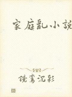 家庭乱小说