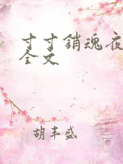 寸寸销魂夜春光全文