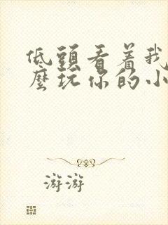 低头看着我是怎么玩你的小说