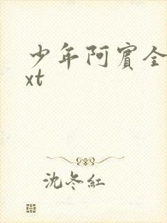 少年阿宾全集txt