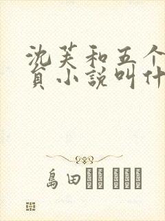 沈芙和五个消防员小说叫什么