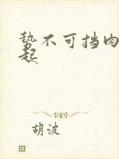 势不可挡肉到飞起