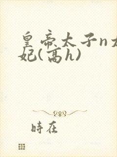 皇帝太子n太子妃(高h)