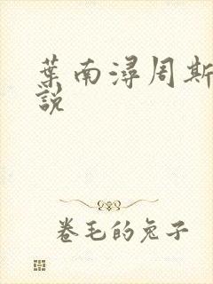 叶南浔周斯年小说