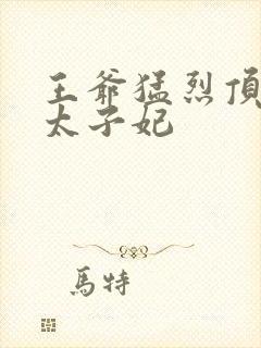 王爷猛烈顶弄H太子妃