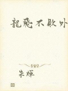 龙飞不败外传
