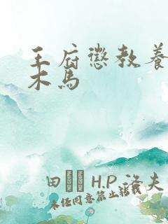 王府惩教养日常木马