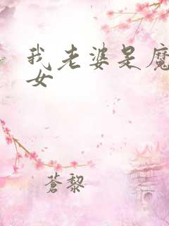 我老婆是魔法少女