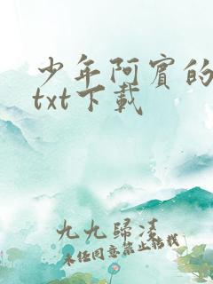 少年阿宾的故事txt下载