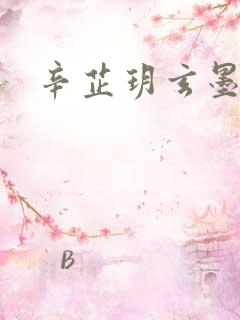 辛芷玥玄墨小说