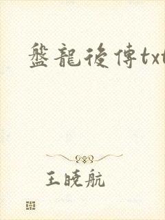 盘龙后传txt