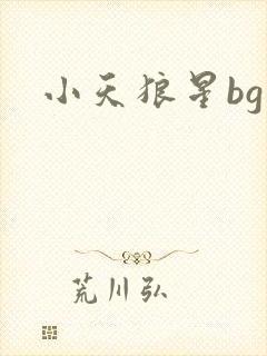 小天狼星bg
