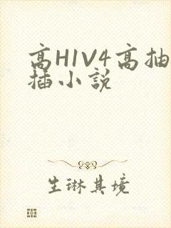 高H1V4高抽插小说