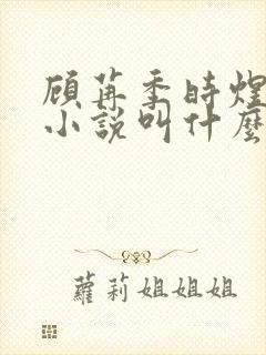 顾苒季时煜电竞小说叫什么名字