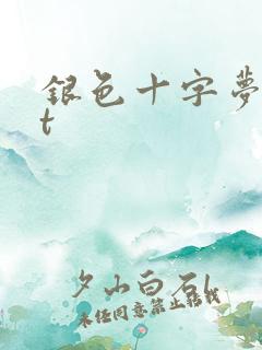 银色十字梦txt