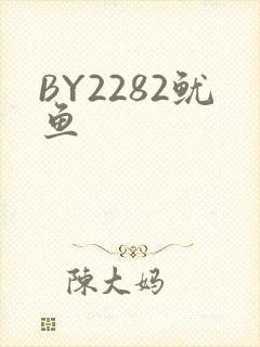 BY2282鱿鱼