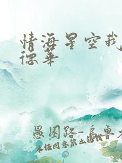 情海星空我与刘德华