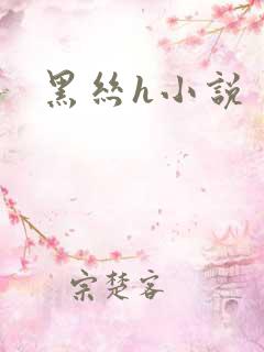 黑丝h小说