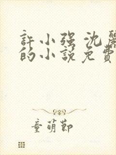 许小强 沈丽娟的小说免费阅读