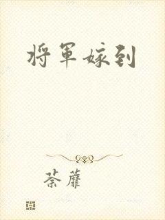 将军嫁到