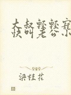 大叔轻轻宠宝贝快叫老公小说