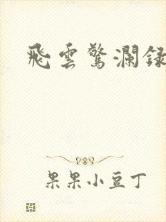 飞云惊澜录