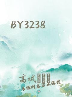 BY3238