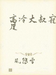 高冷大叔宠妻无度