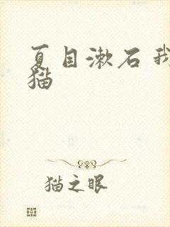 夏目漱石 我是猫