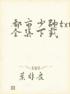 都市少帅txt全集下载