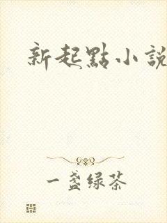 新起点小说网
