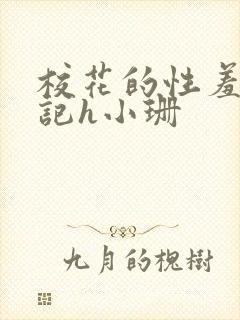 校花的性羞辱日记h小珊