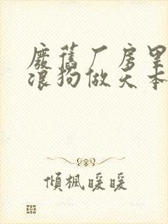 废旧厂房里和流浪狗做天本