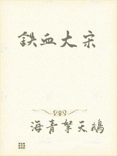 铁血大宋