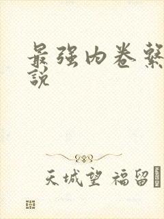 最强内卷系统小说