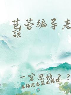 芭蕾编导老师小说